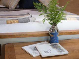 Dol Y Mynydd The Mountain Meadow - Cottage - Llangerniew - 3