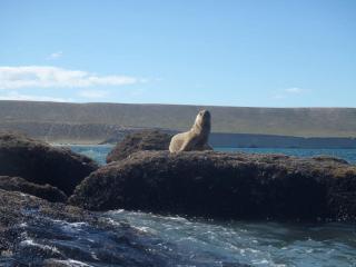 Patagonia House - Rada Tilly - 6