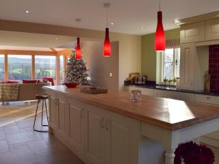 Fountain Hill - Eglwyswrw - 4
