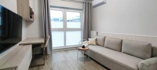 Art Apartaments III - Breslavia - 4