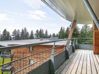 Apartment V du Bachat Asters B by Interhome - Chamrousse - 4