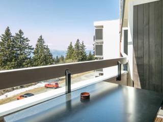 Apartment Les Marmottes by Interhome - Chamrousse - 2