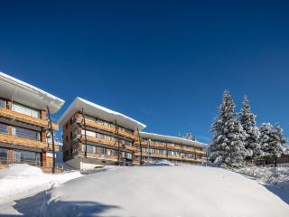 Apartment V du Bachat MELEZES A by Interhome - Chamrousse - 9