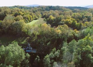 Forest house Niko - 5