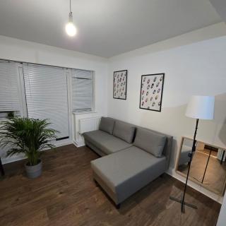 Work & Travel 1-Bed with Garden & Parking Flat 3B - Colindale - 6