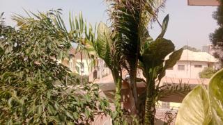 Little Italy B&B - Brusubi - 2