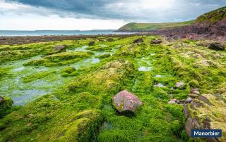 Lilac Cottage - Tenby - 6