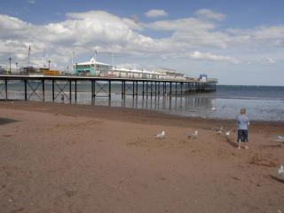Two Beaches - Paignton - 4