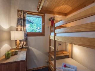 Appartement cosy avec vue Mont-Blanc, parking, animaux acceptés - FR-1-517-26 - Chamonix-Mont-Blanc - 2