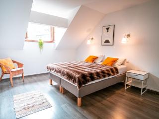 Superbe appart rénové centre, 7-10 pers, animaux admis - FR-1-517-37 - 5