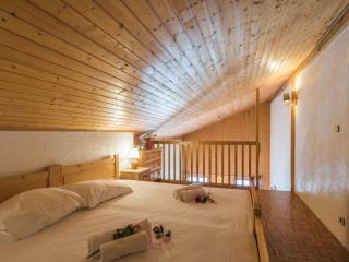 Studio cosy proche centre avec parking et animaux admis - FR-1-517-45 - Chamonix - 8