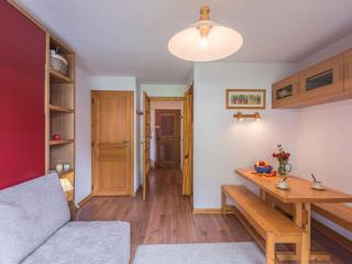 Studio Chamonix, 4 Pers, Proche Pistes, Balcon, Parking, Animaux Admis - FR-1-517-32 - Chamonix - 4