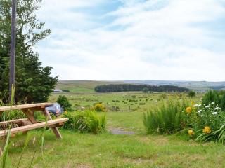 Stublick View - Langley - 3