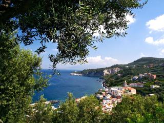 Apartment Freedom Relais Club-9 by Interhome - Massa Lubrense - 9