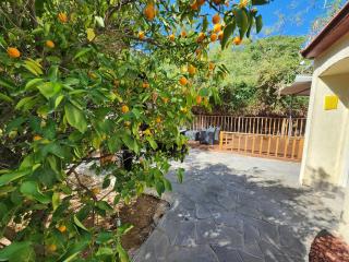 בית מקסים בלב העיר - 4