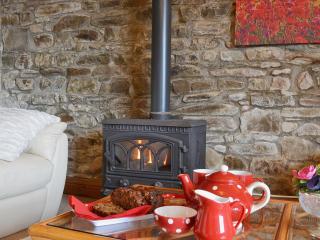 Ty Coch Cottage - Dihewid - 7