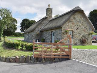 Soar Cottage - Dihewid - 9