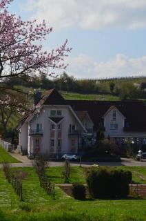 Castell Hotel & Restaurant - Leinsweiler - 9