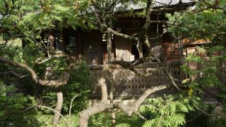 Woodenhouse Maramures - Vişeu de Sus - 3