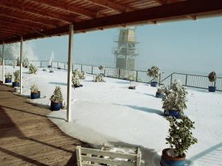 Atelier 4 Comfortable holiday residence - Geversdorf - 3