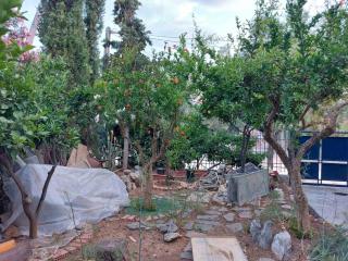 House on the beach - Eretria - 3