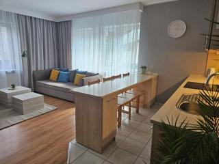 Apartament Rema w centrum APARTZAKOP - Zakopane - 8