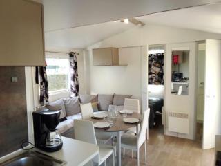 TRES BEAU MOBIL HOME spacieux de 2ch - 6 personnes - LES CHARMETTES - La PALMYRE , Les MATHES - Les Mathes - 6