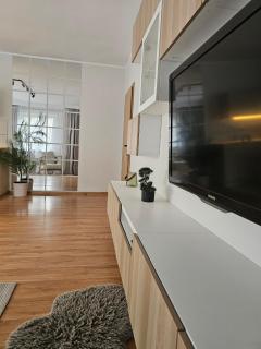 Apartament Rema w centrum APARTZAKOP - 7