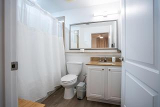 Orlando Blue Heron 1 Mile From Disney 11th floor - 6