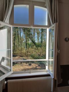 spa suite Calèche, au chateau au milieu d un bois en baie de somme - Mons-Boubert - 4