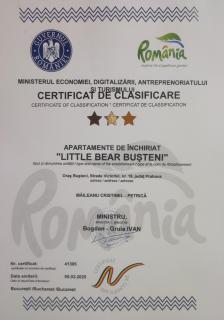 Little Bear Busteni - Buşteni - 8