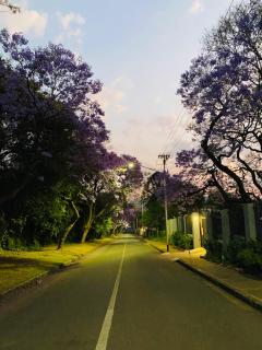 Avenue luxury home - Pretoria - 2