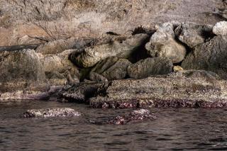 Coastline of Paradise - Paránimfoi - 9