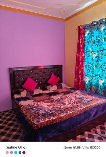 Bakhshi Holiday home stay - Srinagar - 9
