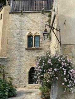 La Tour Sarrazine à 5 min d'Uzès - Montaren-et-Saint-Médiers - 5