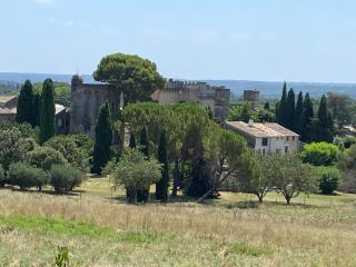 La Tour Sarrazine à 5 min d'Uzès - Montaren-et-Saint-Médiers - 2