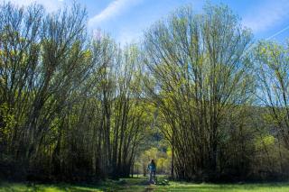 Retiro do Bosque Country House - Minde - 3