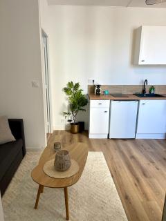 Le Breizh -T2 en centre ville - 3