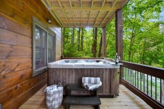 River of Dreams - Ellijay - Ellijay - 8