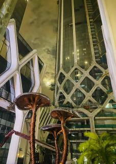 Golden Love Studio Apartment in Diamond Crown Hai Phong - Hai Phong - 8