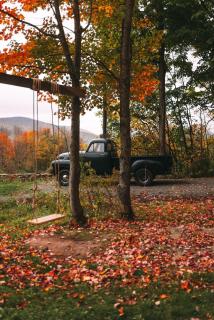 The A-Frame at Harvest Moon Acres - Stamford - 4