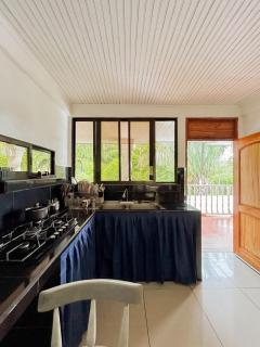 Puravidovo, ocean view, hill side - Golfito - 5