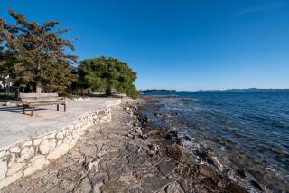 Apartments by the sea Petrcane, Zadar - 14327 - Petrcane - 6
