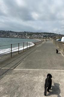 Stamping Cottage - Penzance - 5