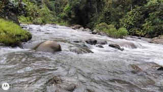 Roca Mia - Mindo - 3
