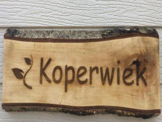 Premium chalet in the Antwerp Kempen -  - 3