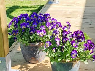 Holiday home NORRTÄLJE IV - Vätö - 6