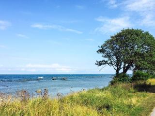 Holiday home VISBY VIII - Visby - 1
