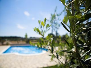 Delightful apartment in Fazana - Fažana - 4