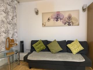 Marble Arch Beautiful Family Apartment - Londra - 6